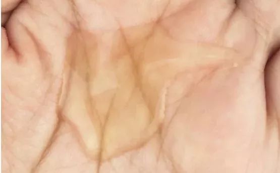 洗发水留香持久控油蓬松柔顺便宜,洗发水要选哪种最好