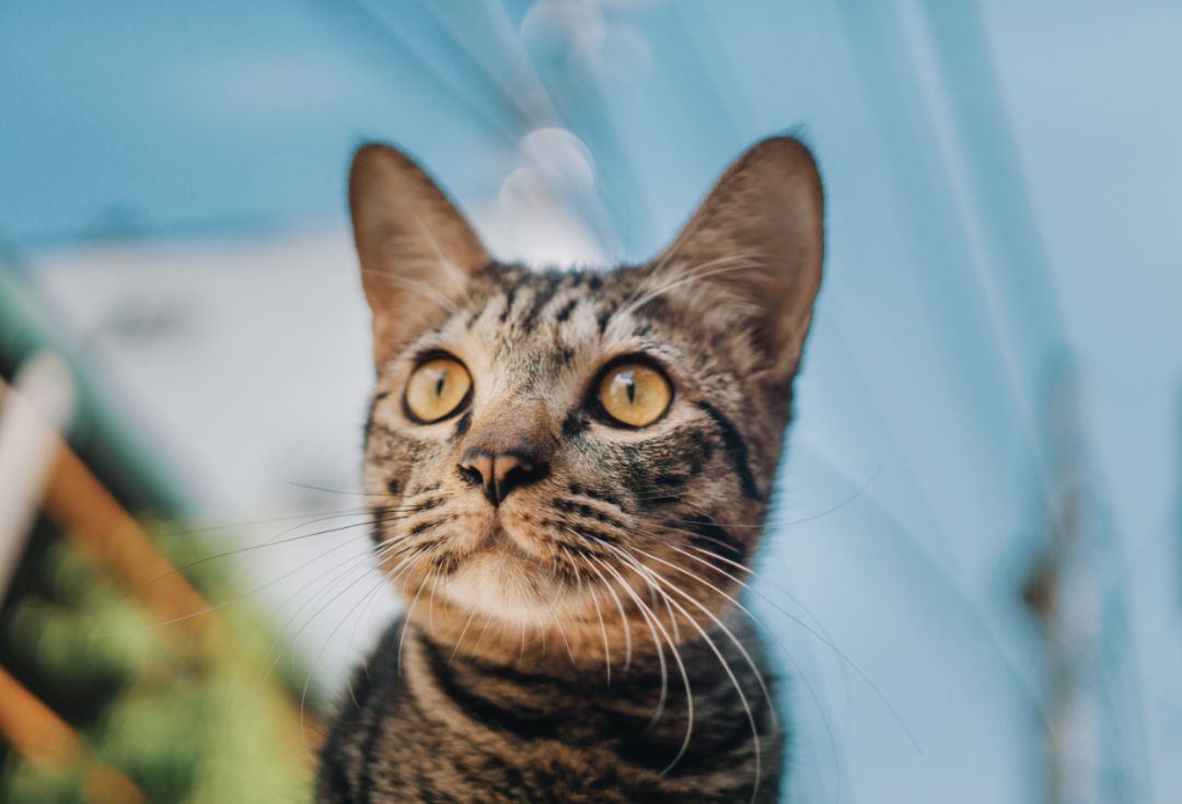 经典发廊歌曲,关于发廊的歌曲