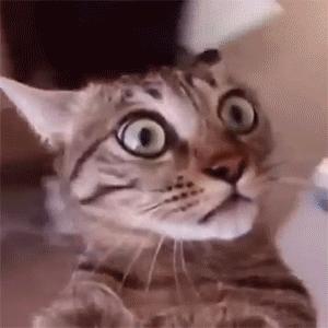 代购、代排队,现在还有代吃喝??话匣妹亲测,眼看着别人吃下了……