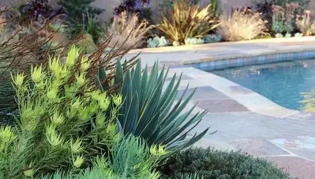 景观花海攻略,花海踏春旅游景点