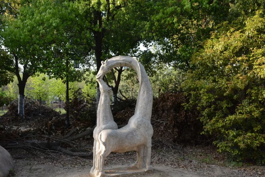 淮南师范学院教学评价,淮南师范学院学科评估