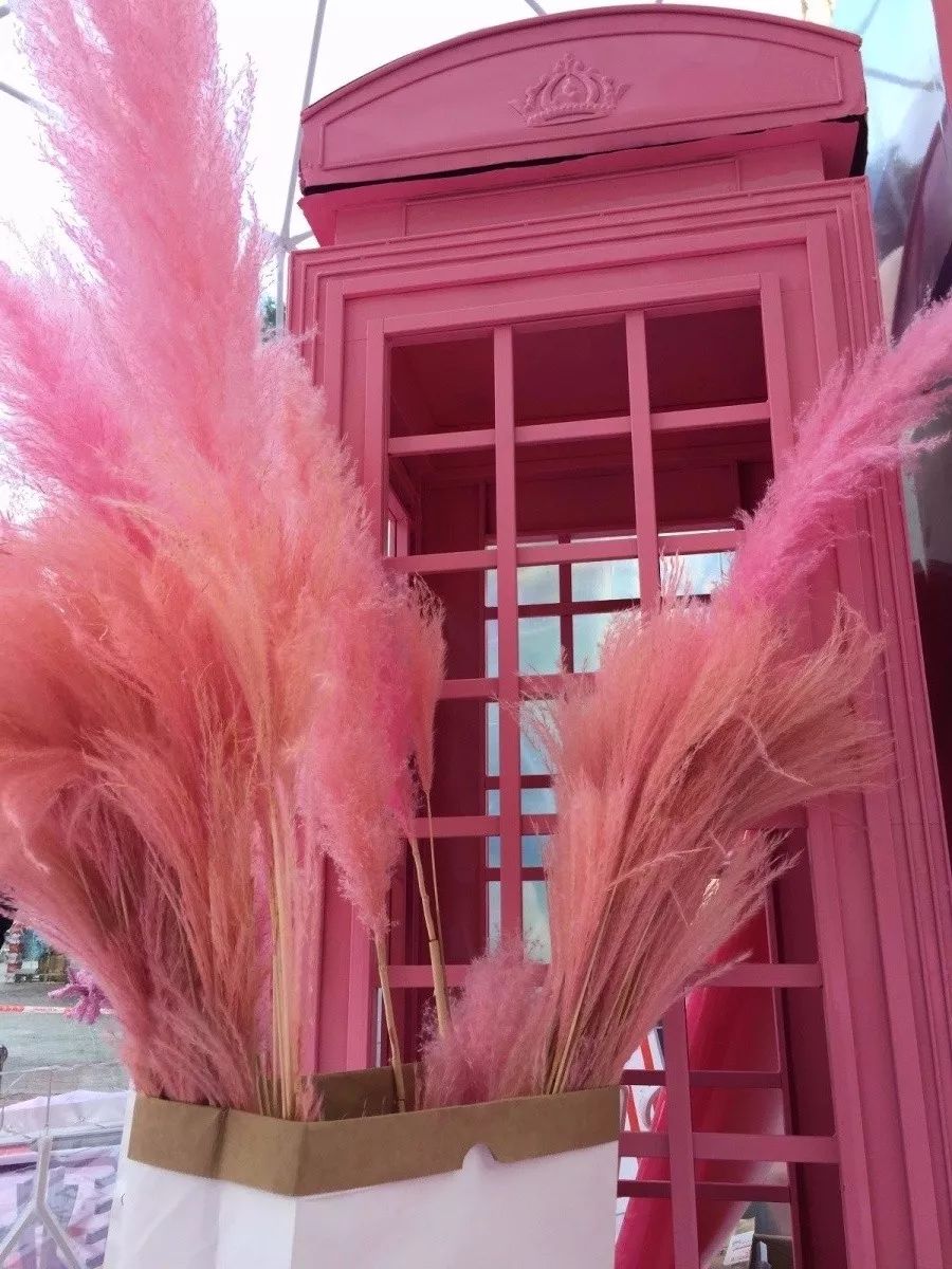 1000份精美礼品进店免费送,千份进店礼免费送