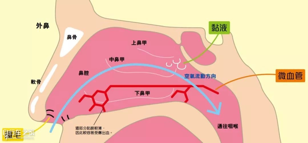 骑车后鼻子流鼻涕,骑车淌眼泪流鼻涕