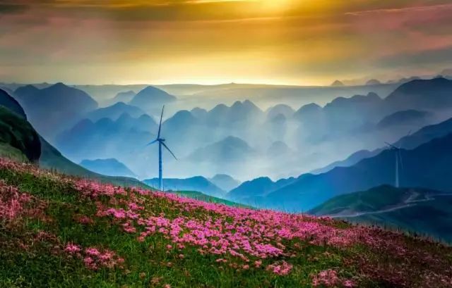 广东人去贵州景区半价,广西人去贵州旅游景区免费吗