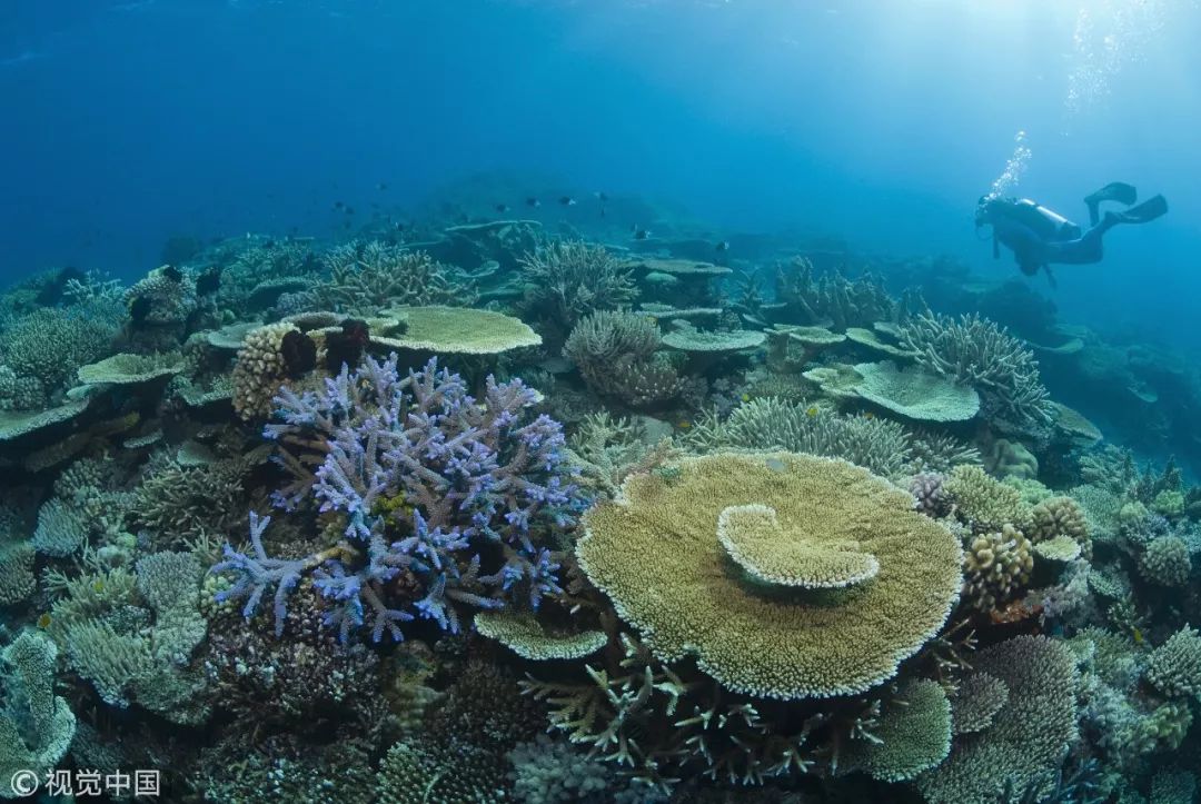 第一批90后被判“拖延癌”?他们的扎心瞬间告诉你:逃避可耻且无用