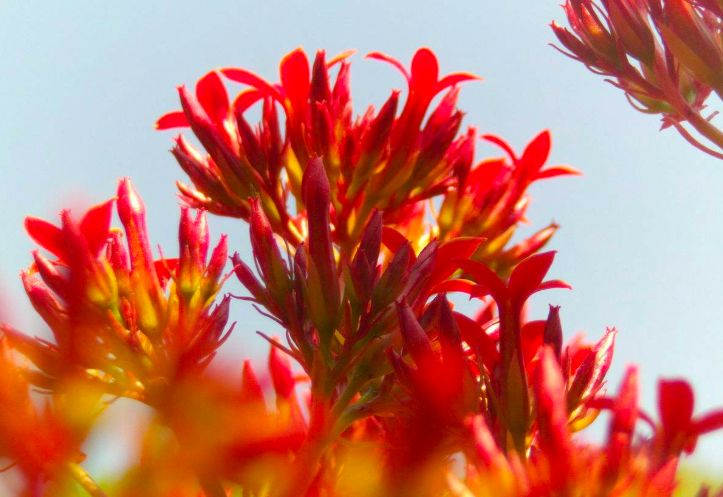 法令纹会让自己显老5到10岁,法令纹显老十岁教你解决