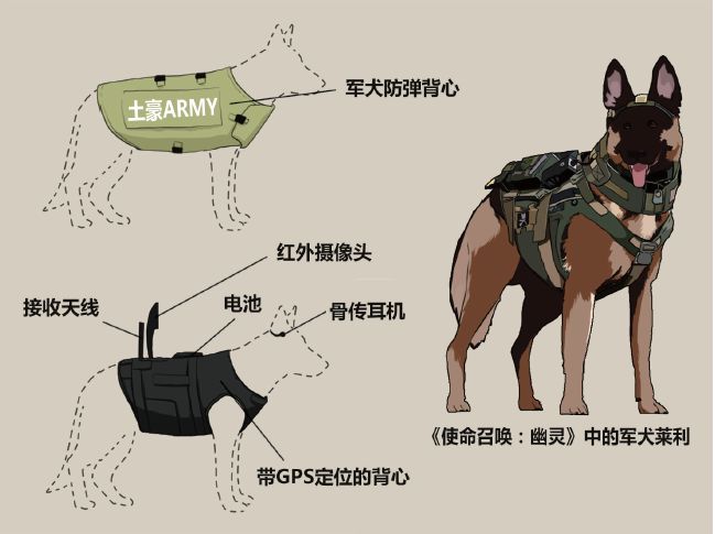 最忠实的军犬有哪些,哪些比较忠诚的军犬