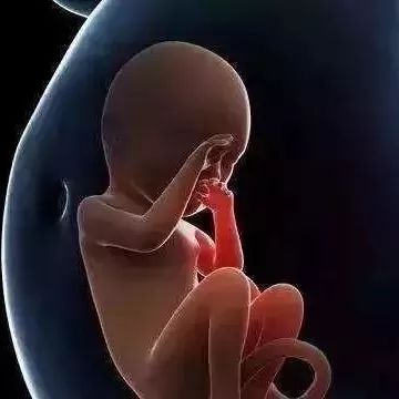 每天坚持下蹲180次,下蹲10分钟