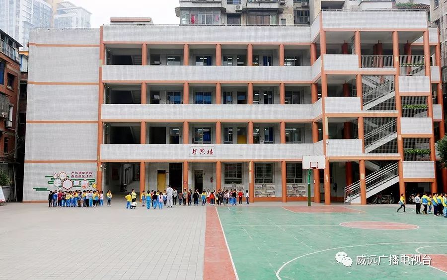 严陵镇中心校,严陵镇中心校及所属校园