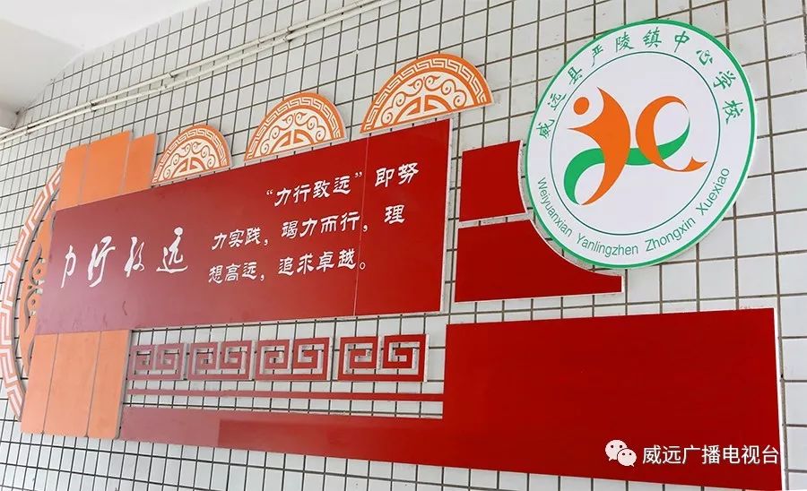 严陵镇中心校,严陵镇中心校及所属校园