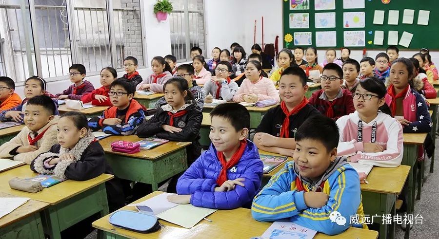 严陵镇中心校,严陵镇中心校及所属校园