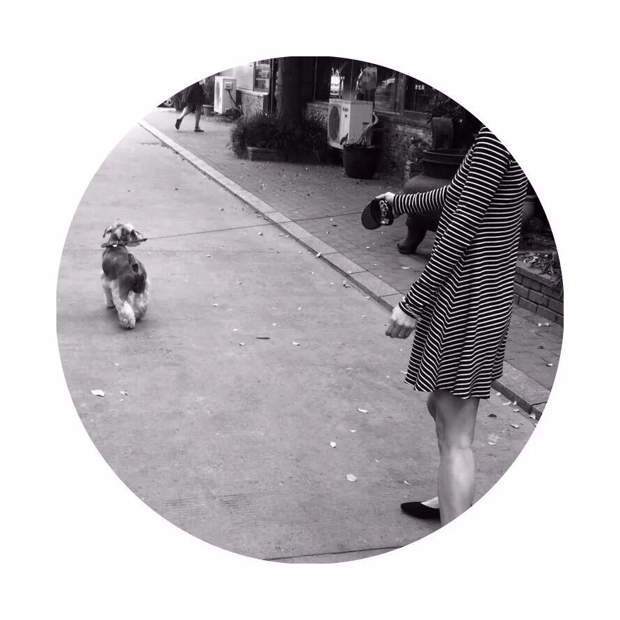 追了LOHAS11个编辑的战利品|私藏好物清单