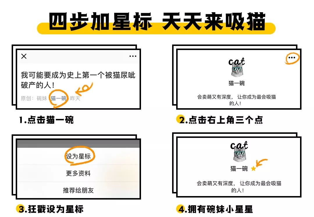 养猫的用处每一个都好硬核 (年轻人养猫和老人养猫的区别)