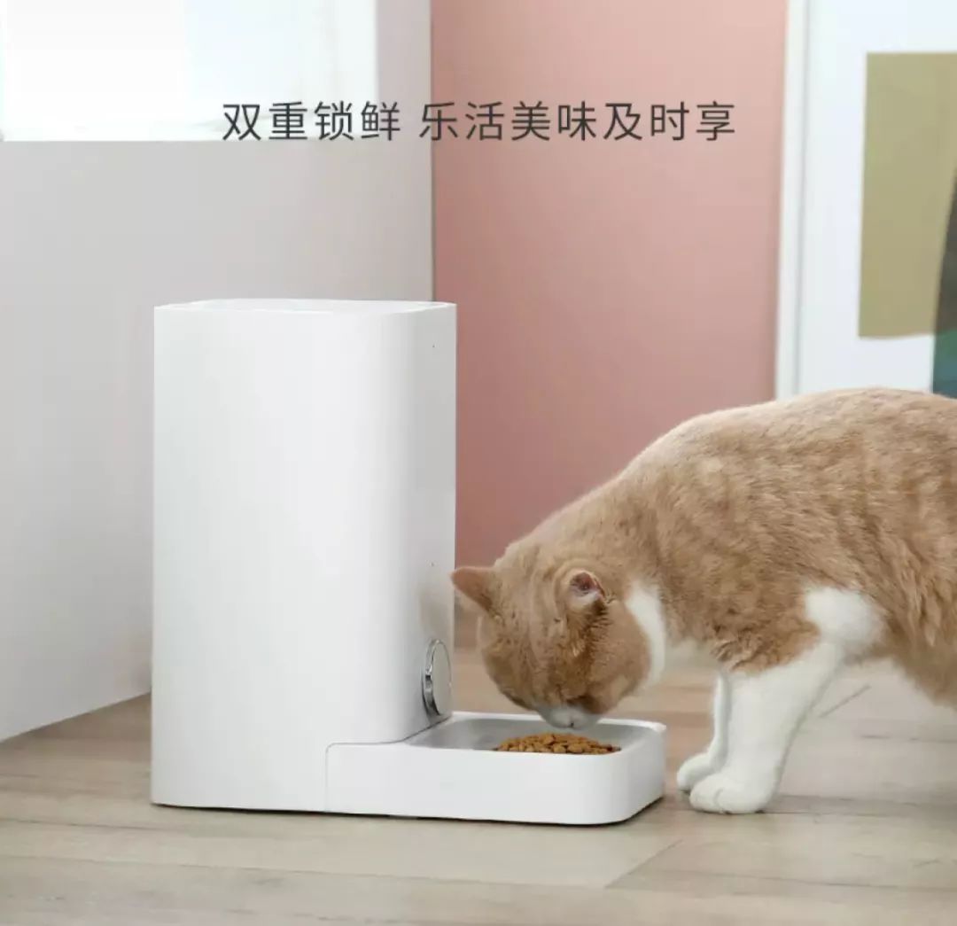 没想到就连满分合格的铲屎官，都可能错过它们……