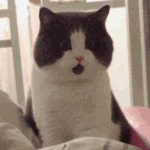 普法不到位不知道犯法怎么办,普法不到位导致违法会不会减轻