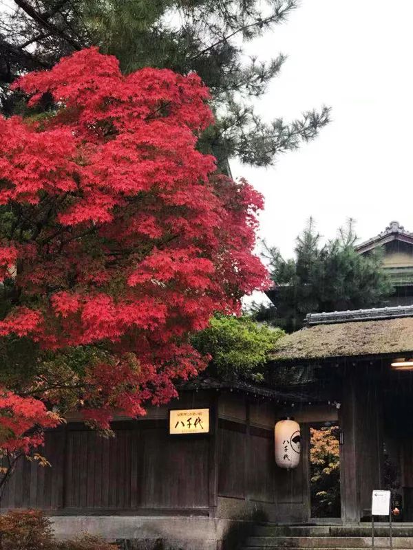 旅行V周报|环球搜罗圣诞礼品让你的礼物有品又有型更有双十一剁手资讯不容错过!