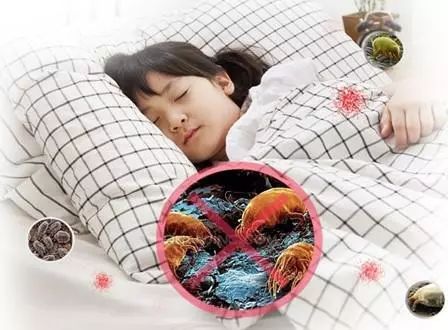 床单一月不洗螨虫成窝教你一招,床单一周不洗