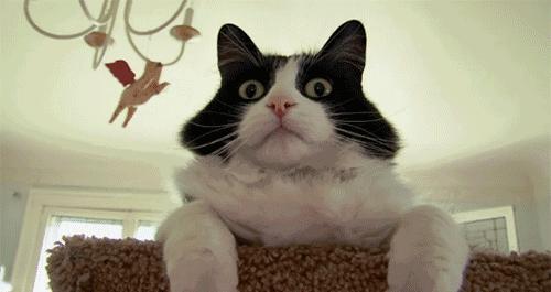 往鞋里抹点这个,走路再久都不累!聪明的人都这样做