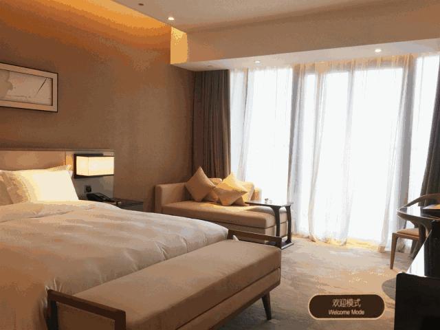 苏州高铁金科酒店攻略,苏州高铁金科大酒店优惠