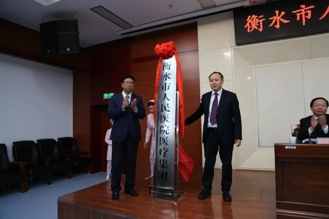 衡水城市紧密型医疗集团,衡水集团