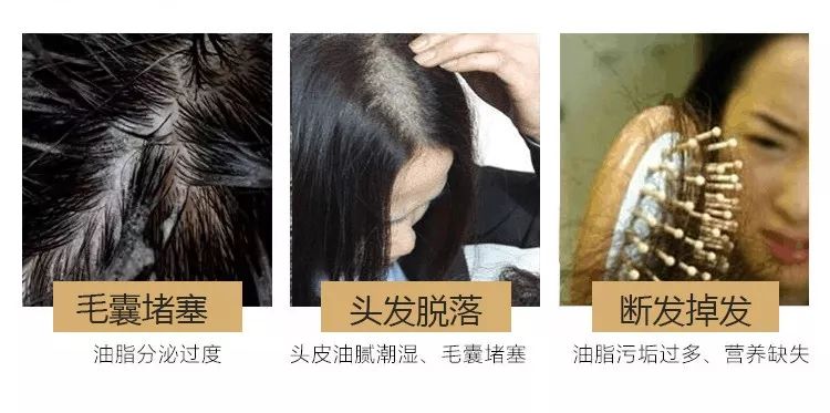 郭富城洗发水品牌,郭富城的头发用什么发蜡好