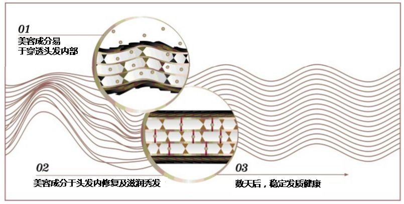 郭富城洗发水品牌,郭富城的头发用什么发蜡好