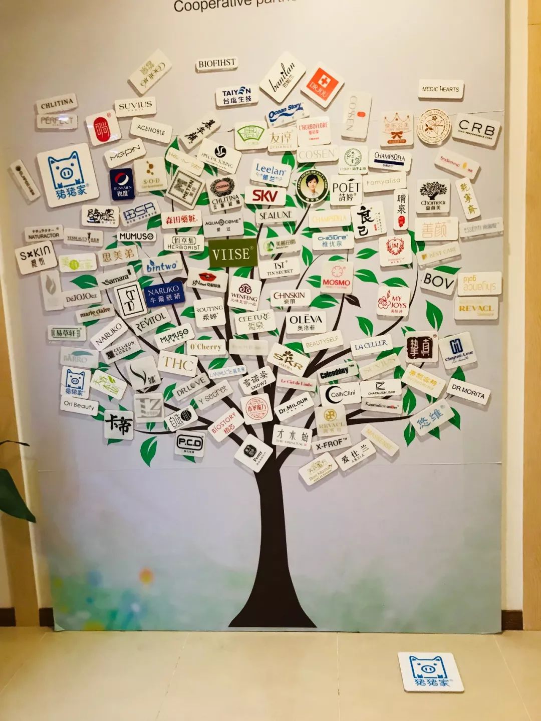 上海金山区化妆品厂有哪些,金山化妆品厂怎么样