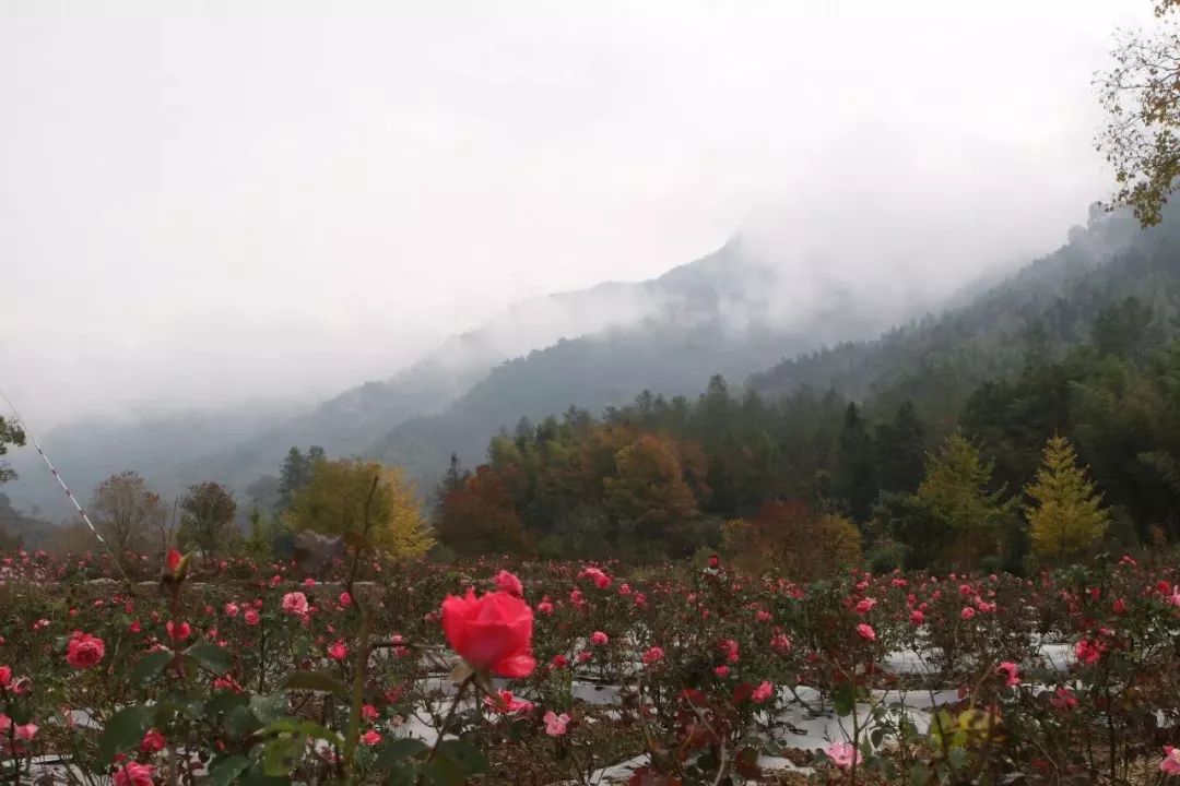 上海金山区化妆品厂有哪些,金山化妆品厂怎么样