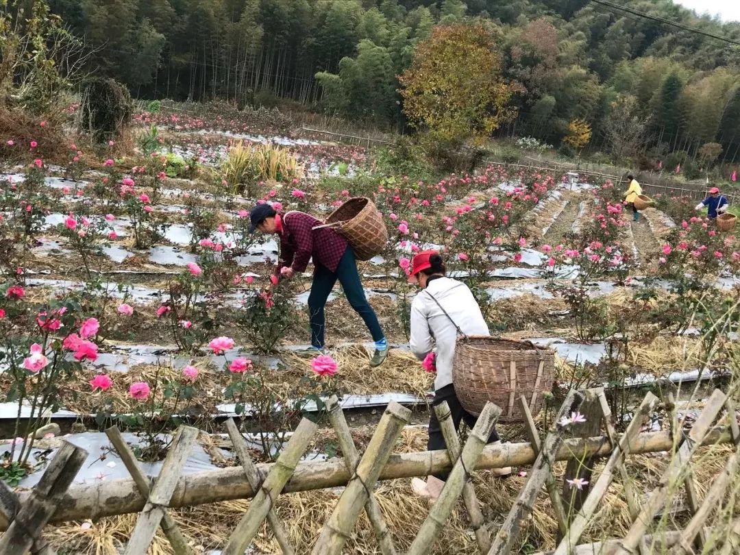 上海金山区化妆品厂有哪些,金山化妆品厂怎么样