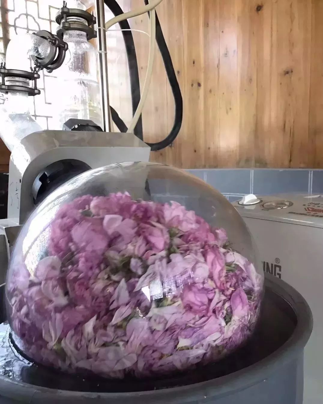 上海金山区化妆品厂有哪些,金山化妆品厂怎么样