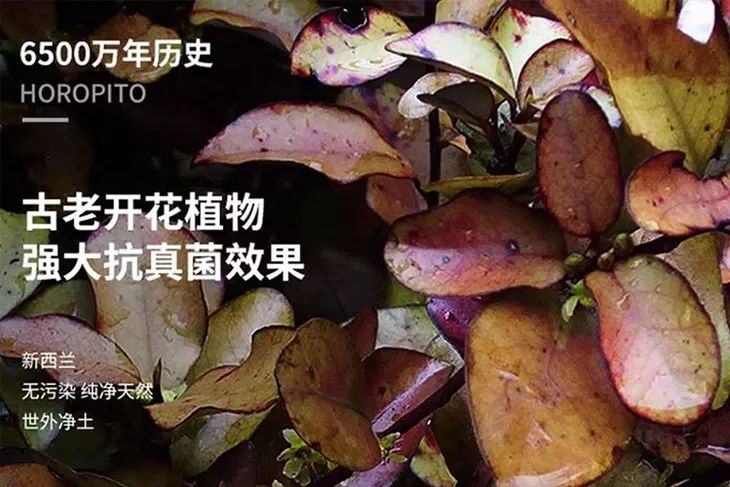 愿生活有惊喜愿喜欢有回应,希望生活有惊喜希望喜欢有回应