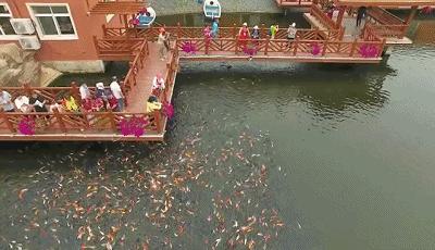 温泉免费送门票,免费领水上乐园门票