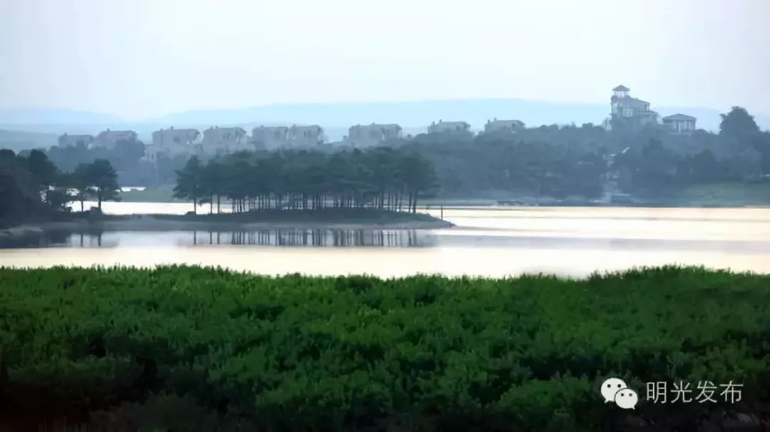 一个外地人眼中的蚌埠,明光魅力