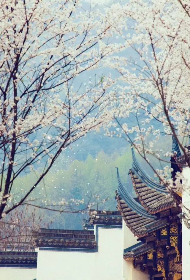 50个成语50个历史人物,50个历史名人对应的成语