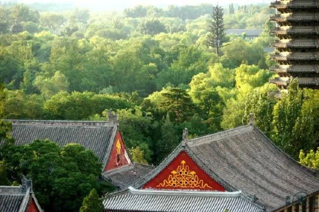 50个成语50个历史人物,50个历史名人对应的成语