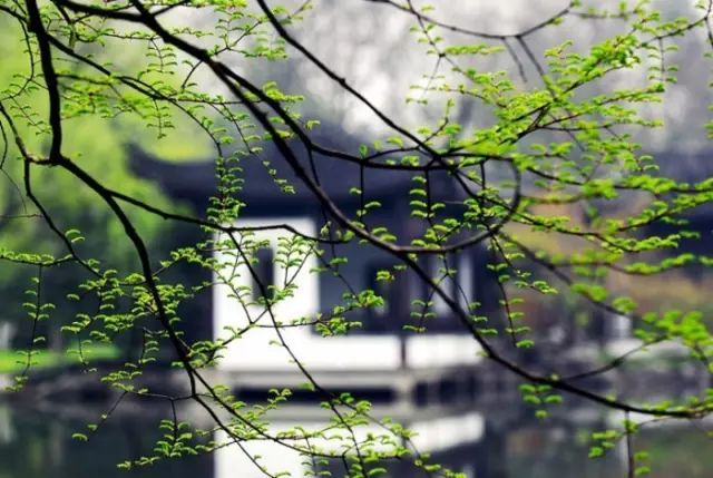 50个成语50个历史人物,50个历史名人对应的成语