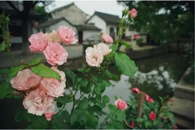 50个成语50个历史人物,50个历史名人对应的成语