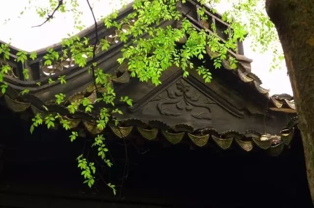 50个成语50个历史人物,50个历史名人对应的成语