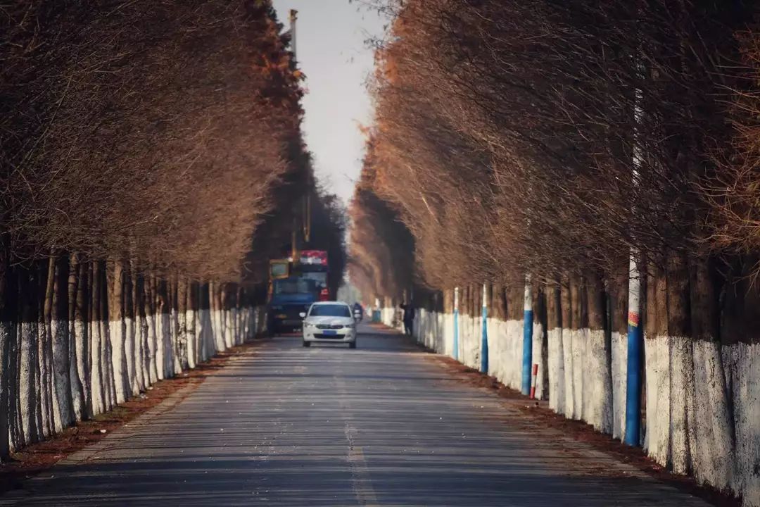 所有人奔向城市，她选择回到浦南