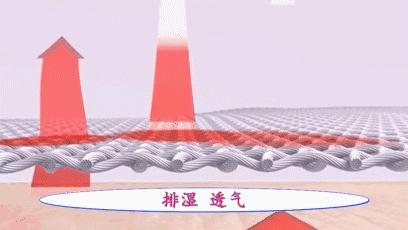 46项专利的汉麻袜，7天不洗也不臭，99.9%高效抑菌，秒速排汗-5℃