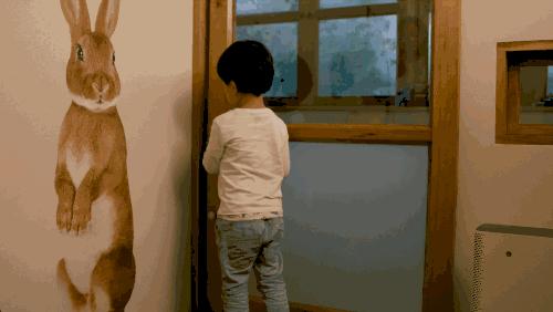 一室一卫出租屋改造全过程,房屋改造出租屋全过程