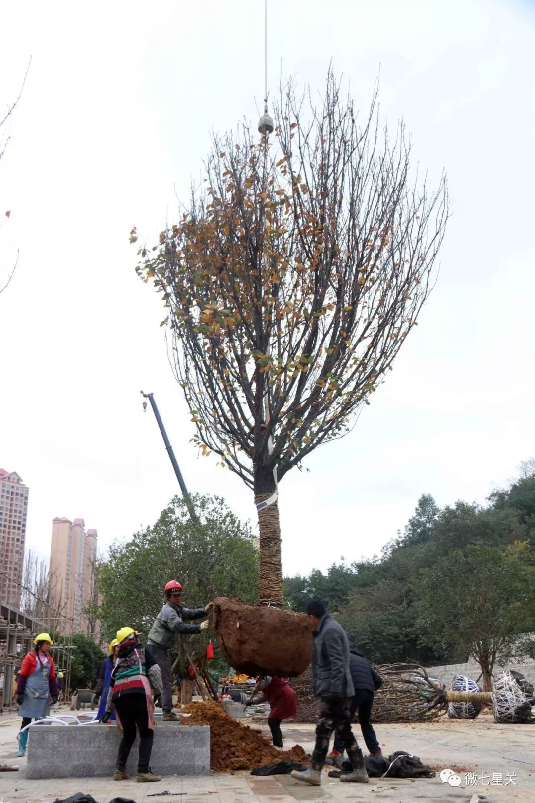 毕节七星关区健身馆,七星关区健身馆