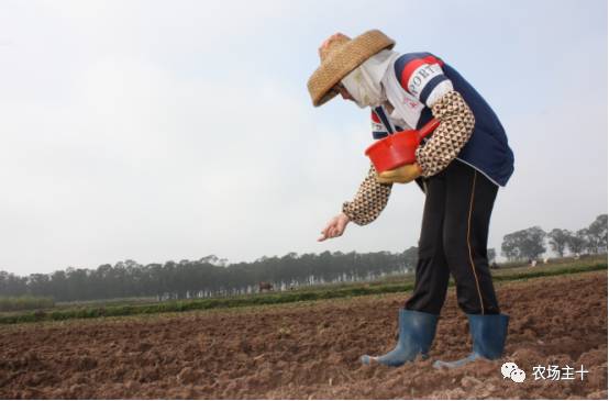 土地流转农民的机遇,农村土地流转困境