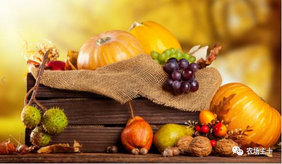 土地流转农民的机遇,农村土地流转困境