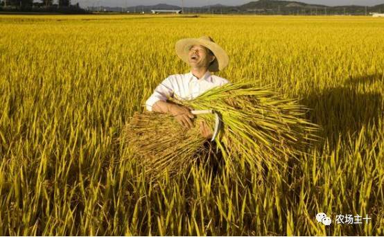 土地流转农民的机遇,农村土地流转困境