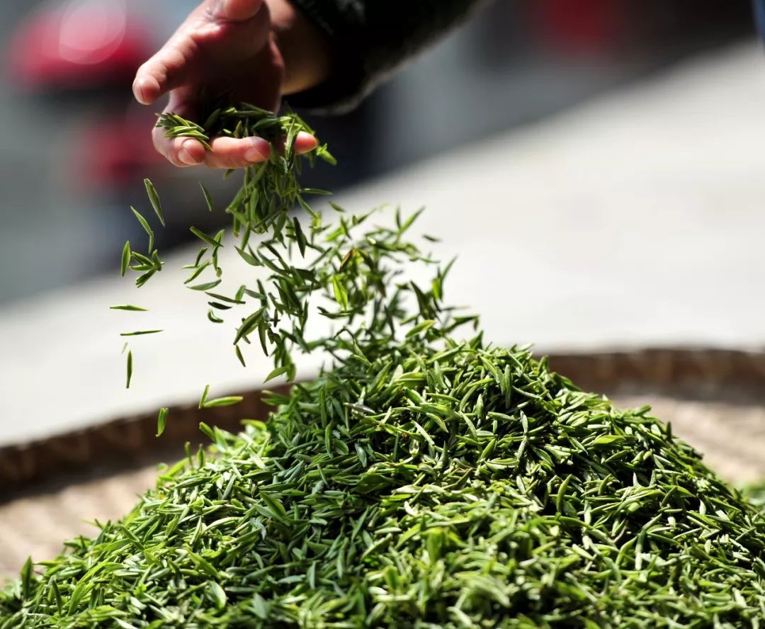 文县在哪里啊,现在的文县