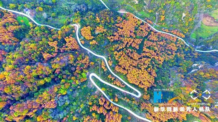 文县在哪里啊,现在的文县