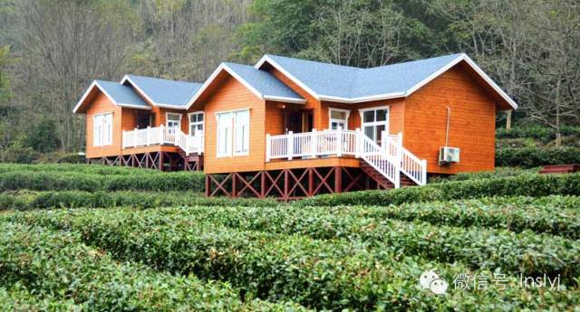 文县在哪里啊,现在的文县