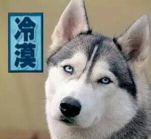 刷单骗局全程揭露骗到你怀疑人生,揭露刷单骗局套路