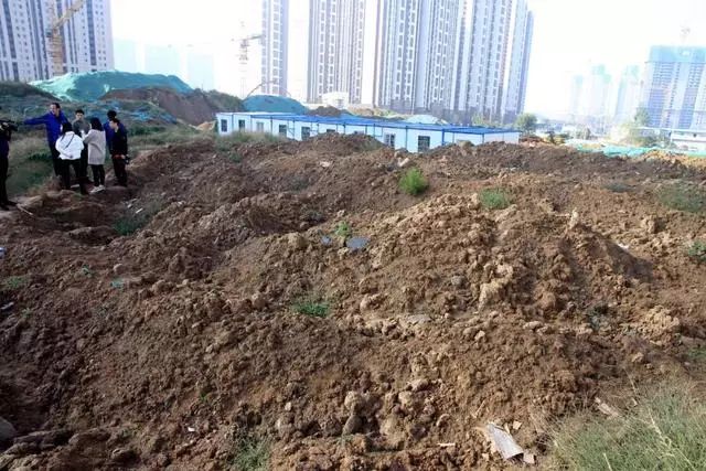 郑州美景麟起城壹号院缺点,郑州美景麟起城建设时间